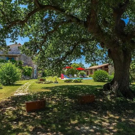 Negrin Dom wakacyjny