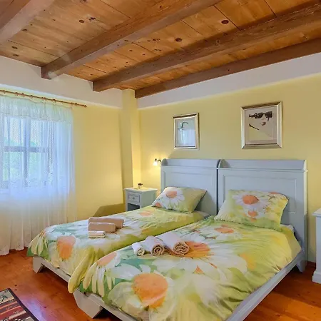 Negrin Vikendica Pula